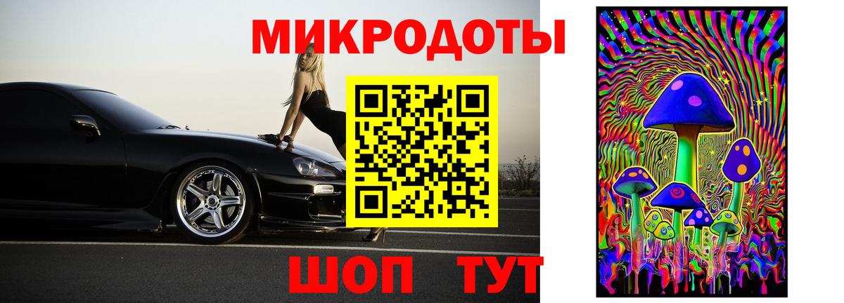 Псилоцибиновые грибы Psilocybine cubensis Туапсе